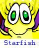 1m_starfish