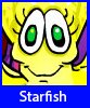starfish